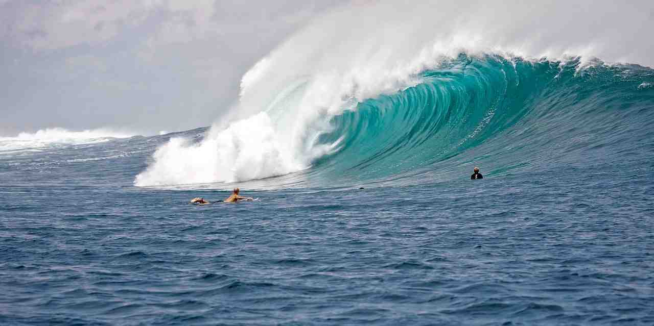 grosses vagues, surfeurs, puissance